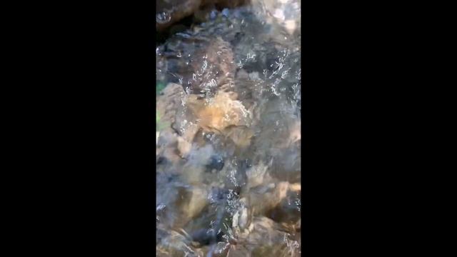 Кавер на песню - Я искала тебя смотреть онлайн