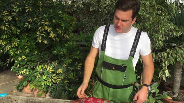 Sunin Rododendron, Áfonya és Magnóliafák földje 20 liter смотреть онлайн