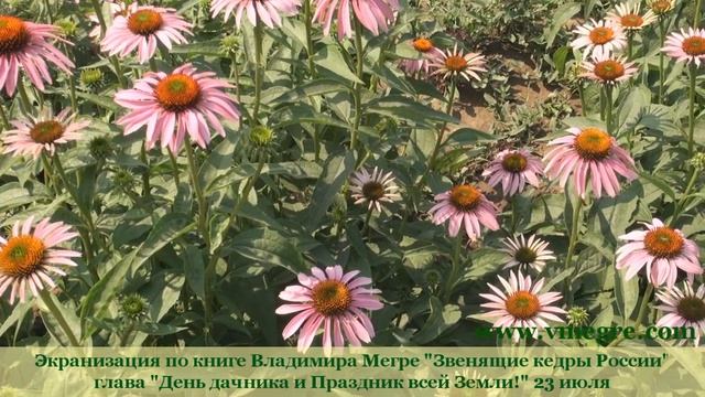 "День дачника и Праздник всей Земли!" #23июляДеньЗемли смотреть онлайн