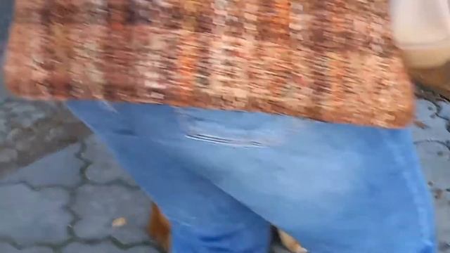 ?КОРМИМ БЕЗДОМНЫХ КОШЕК.? смотреть онлайн