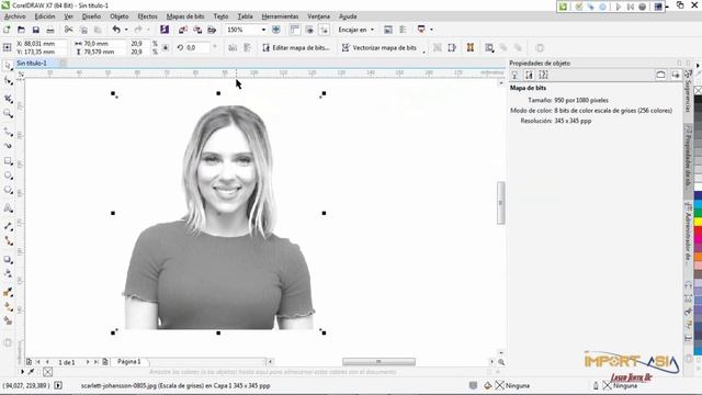 Como preparar una imagen para fotograbado en Corel Laser - método paso a paso смотреть онлайн