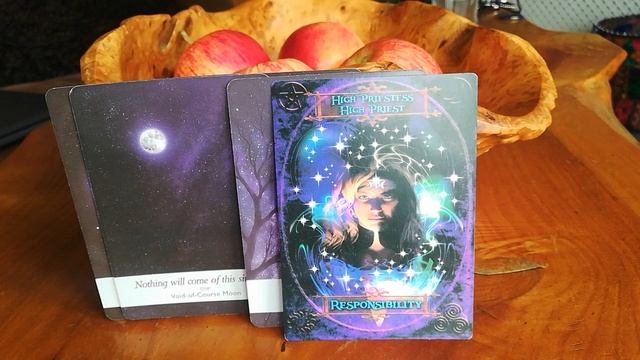 Show the World the Real You, Twin Flame Oracle Card Reading DM DF #divinemasculine смотреть онлайн