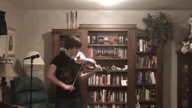 Through the Fire and Flames - Metal Violin Cover смотреть онлайн