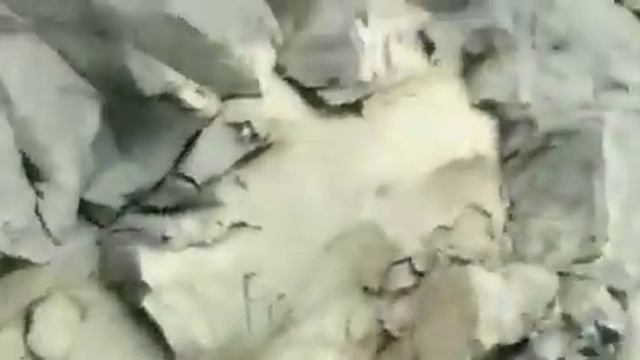 Северная Индия медленный, но неотвратимый сход ледника смотреть онлайн