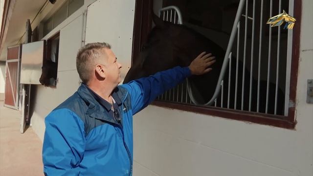 PRO_Событие. Dubai World Cup Carnival смотреть онлайн