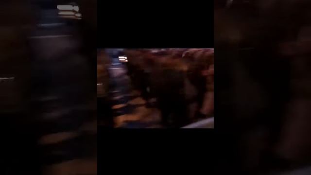 ПАРАД РУССКОЙ СИЛЫ смотреть онлайн