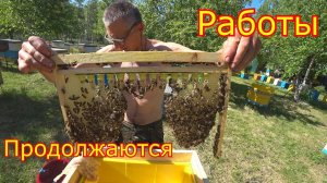 Работаем с хвостами, шестирамочниками, раздаем маточники.