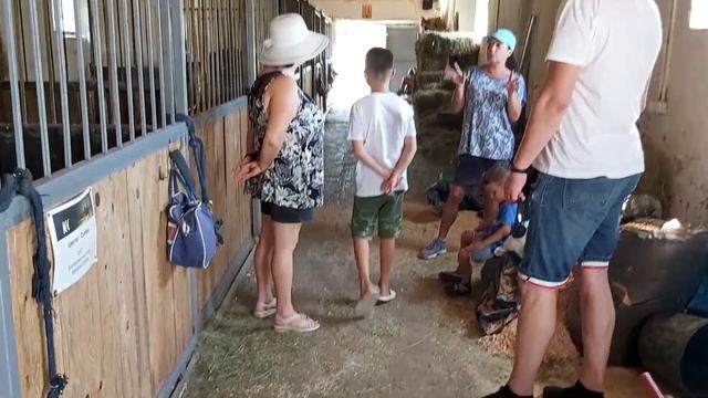 Черногория 2020. Август. На вилле, конюшня в Ластве, пляж Плоче. смотреть онлайн