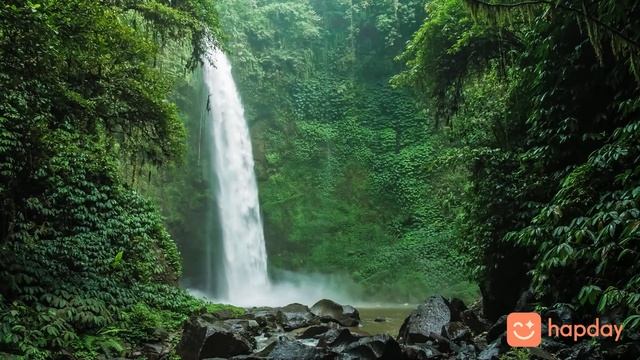 Здесь и сейчас | Ежедневная медитация #8 | Hapday смотреть онлайн