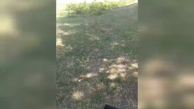 Отдых семьёй ) Водохранилище "Полный Колос",Природа Кыргызстана!!! смотреть онлайн