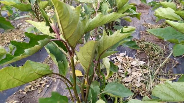 Рецензии на Фильмы