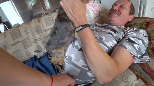 ВЛОГ Проснулись на рассвете 🤭 / Новая интересная идея 😊👍 / Боба и Моська 😂 13 июня 2018 г. смотреть онлайн