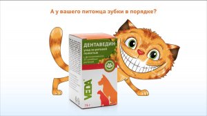 Анимационный ролик про средство для ухода за ротовой полостью ДЕНТАВЕДИН