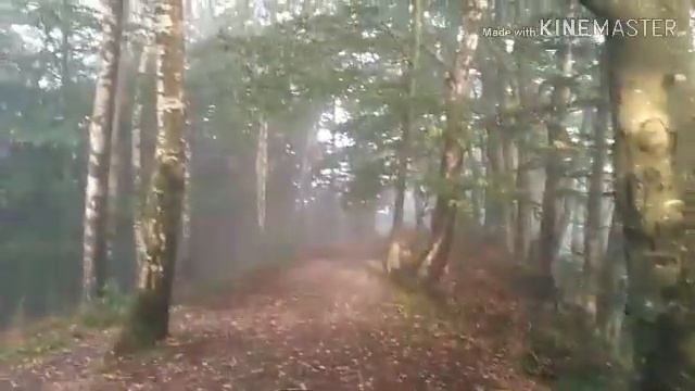 Прогулка в облаках смотреть онлайн