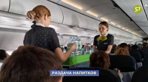 S7: перелет Красноярск - Новосибирск на Airbus A320 | Trip Report | Krasnoyarsk - Novosibirsk