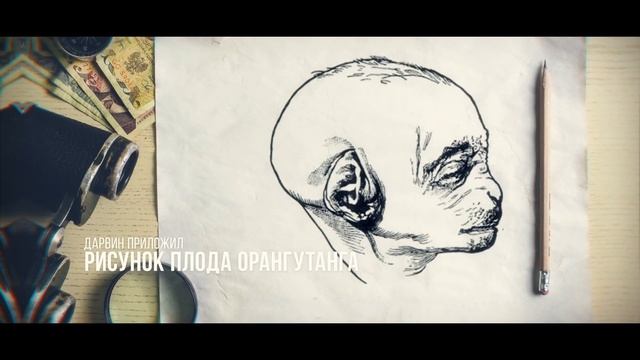 Бугорок Дарвина. Что это такое? ДАРВИНОВ БУГОРОК. Бугорок Дарвина фото и видео. смотреть онлайн