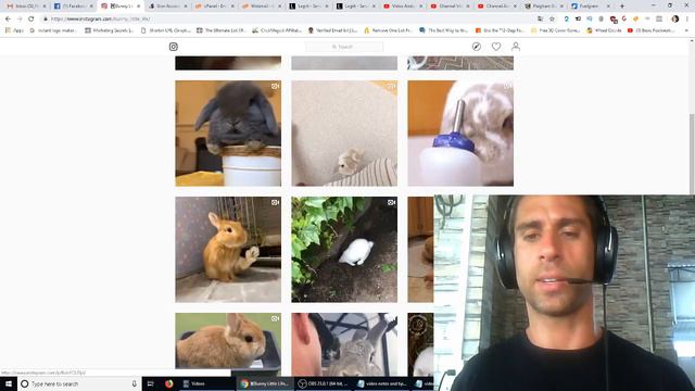 How To Use Fuelgram To Grow Your Instagram Account Super Fast смотреть онлайн