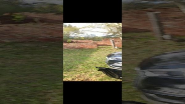 VID_20240428_080117.mp4