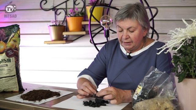 Внимание! Как Улучшить Покупной Грунт на 100% ✔️ Торфяной Грунт Для Комнатного Цветоводства ? смотреть онлайн