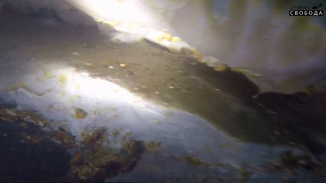 КАНЬОН 06 10 2018 смотреть онлайн