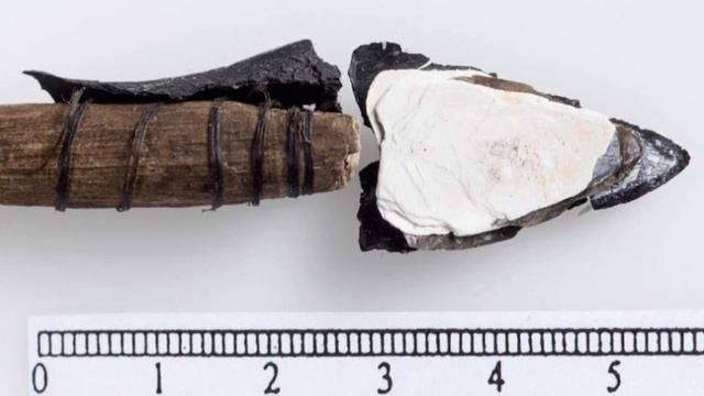 Oldest shoe in Norway, dating to 3,000 years ago, recovered from melting ice patch смотреть онлайн