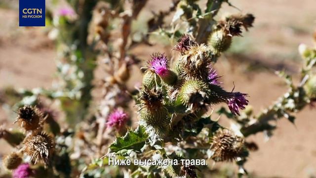 Современный Юй гун, передвинувший горы смотреть онлайн