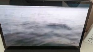 LiveScope.Меняем угол !?