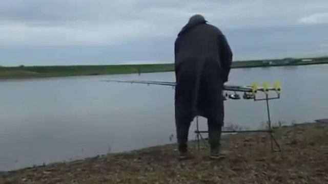 ✌ Прикормка и ловля сазана ✌ #удачнаярыбалка смотреть онлайн