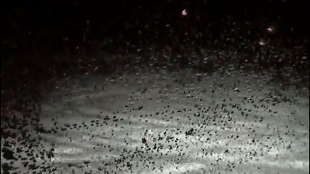 323 Gtr On Snow смотреть онлайн