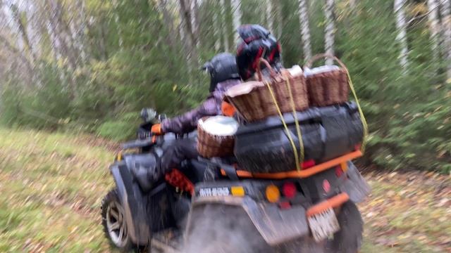 РМ 800 DUO поездка за рыжиками