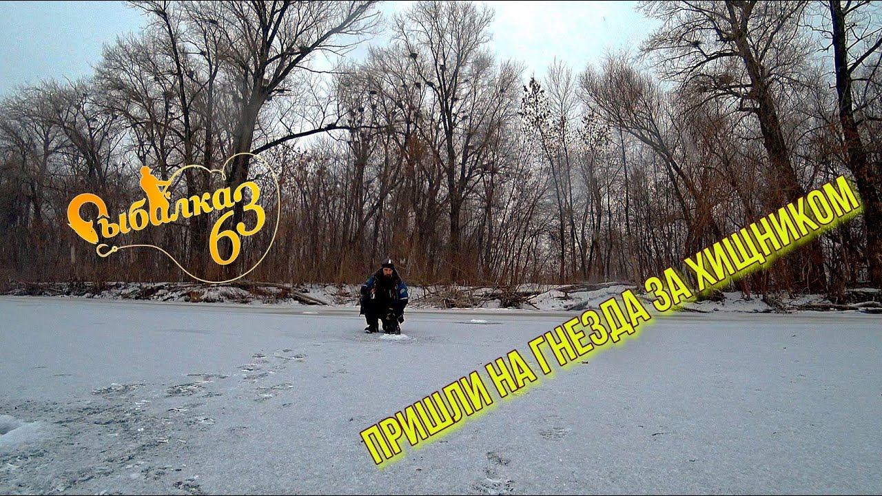 ВСЯ РЕКА В СЕТЯХ. Как на эхолоте видно подъем судака. Пришли на гнезда за хищником смотреть онлайн