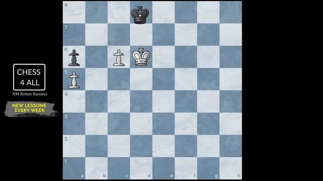 Chess Lesson # 65: Triangulation | Distant Opposition | The Pawn that Stops Two | Chess Endgames | смотреть онлайн