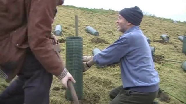 Planting Trees at the Bincombe Beeches Nature Reserve смотреть онлайн