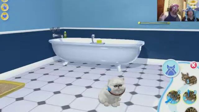 Monks Play PETZ CATZ смотреть онлайн