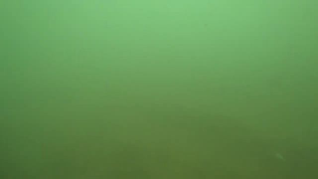 Архипо-Осиповка 2019. Море, пляж, цены, жильё, развлечения, прогулка. (Папа Может) смотреть онлайн