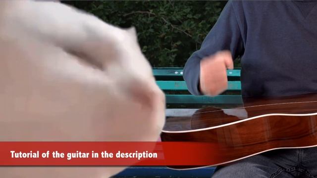Cat Vibing To Ievan Polkka (Guitar Version) смотреть онлайн