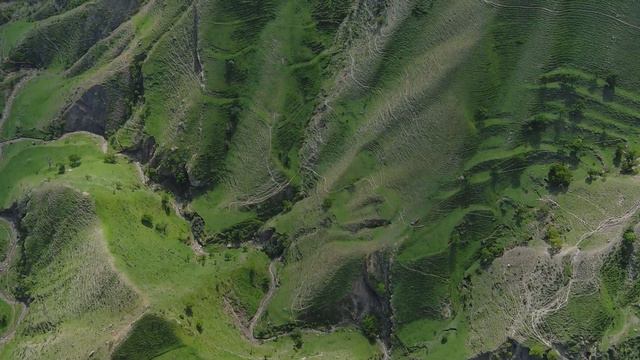 Дагестан | Абрикосовые сады | Холмы и горные вершины | Первое видео из гордого Дагестана смотреть онлайн