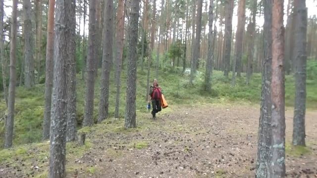 Сплав по реке Кема смотреть онлайн