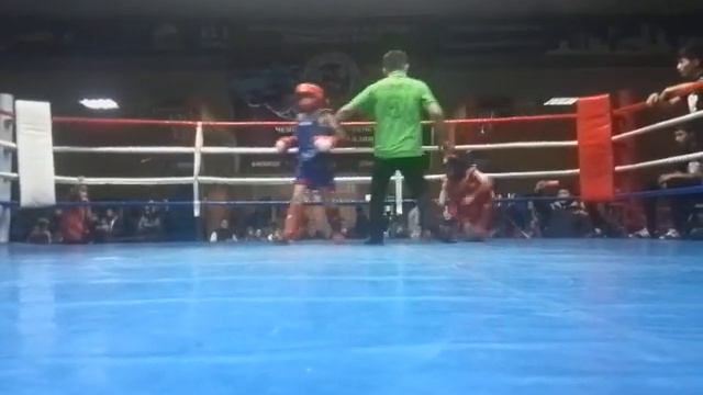 Тайский бокс смотреть онлайн