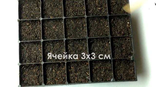 ??Перец чили. Выращивание из семян. Сею в кассету острый перец. смотреть онлайн