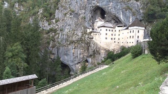 Однотонные крольчата в окроле строкачей/Немецкий Пёстрый Великан/Предъямский замок Словения смотреть онлайн