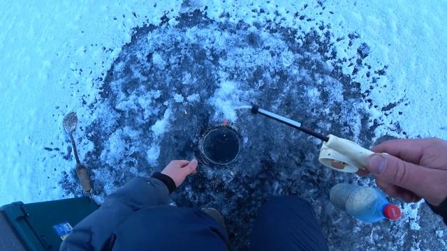 Первая Рыбалка На РИПУСА в декабре на озере ИНГОЛЬ!!! Открыли сезон в Тёплой будке на ЛЬДУ!!! смотреть онлайн