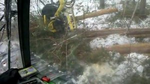 Валочная.Работа для настоящих мужчин