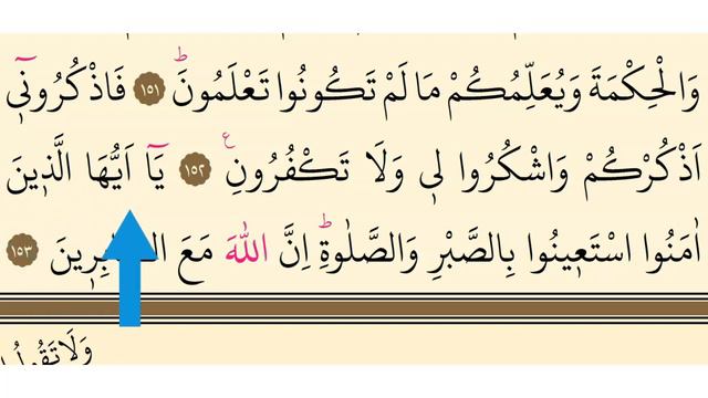 Surah Baqarah, Verses 151-154. سورۃ البقرۃ #Lesson27. Read Quran with Tajweed смотреть онлайн