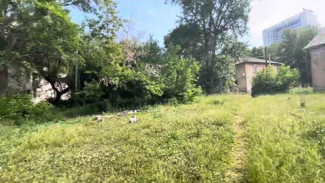 Уфа, Черниковка в поисках Черники. ЖК Черника ?, лето 2023 смотреть онлайн