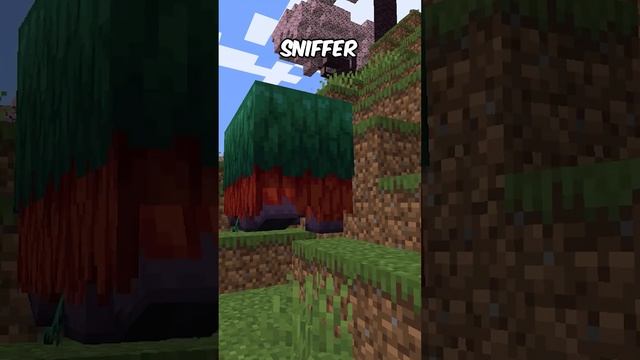 НЕЙРОСЕТЬ показала как бы выглядел НЮХАЧ в РЕАЛЬНОМ МИРЕ | MINECRAFT 1.20 SNIFFER #shorts смотреть онлайн