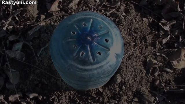 Кулинарные Мастер-Классы