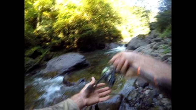 РЫБАЛКА НА ФОРЕЛЬ В АБХАЗИИ смотреть онлайн