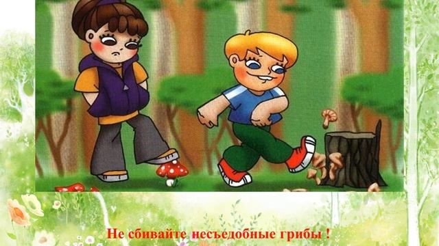 Видео - урок. Тема: "Правила поведения в лесу" смотреть онлайн