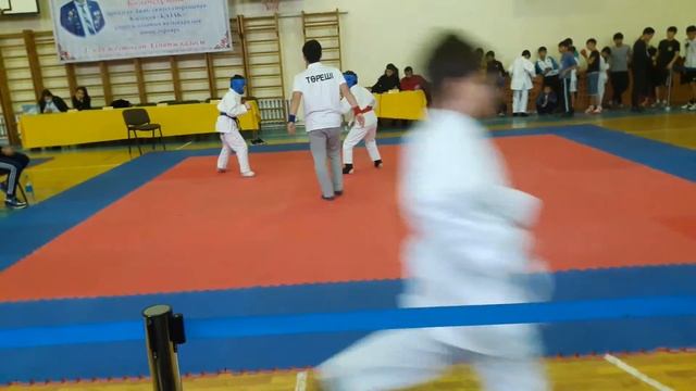 Джиу-джитсу 